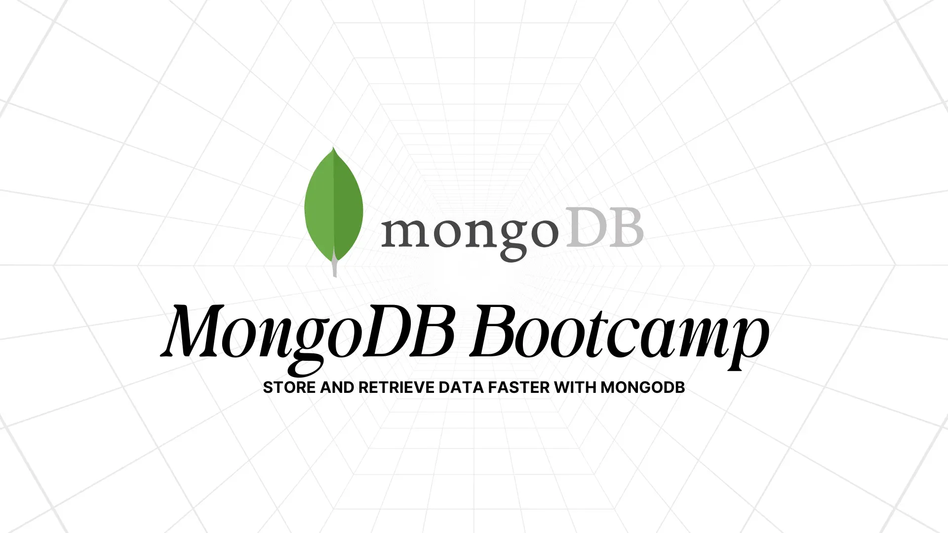 MongoDB Bootcamp