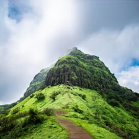 5 global certificates (Google, IBM, Microsoft, AWS, NASSCOM)