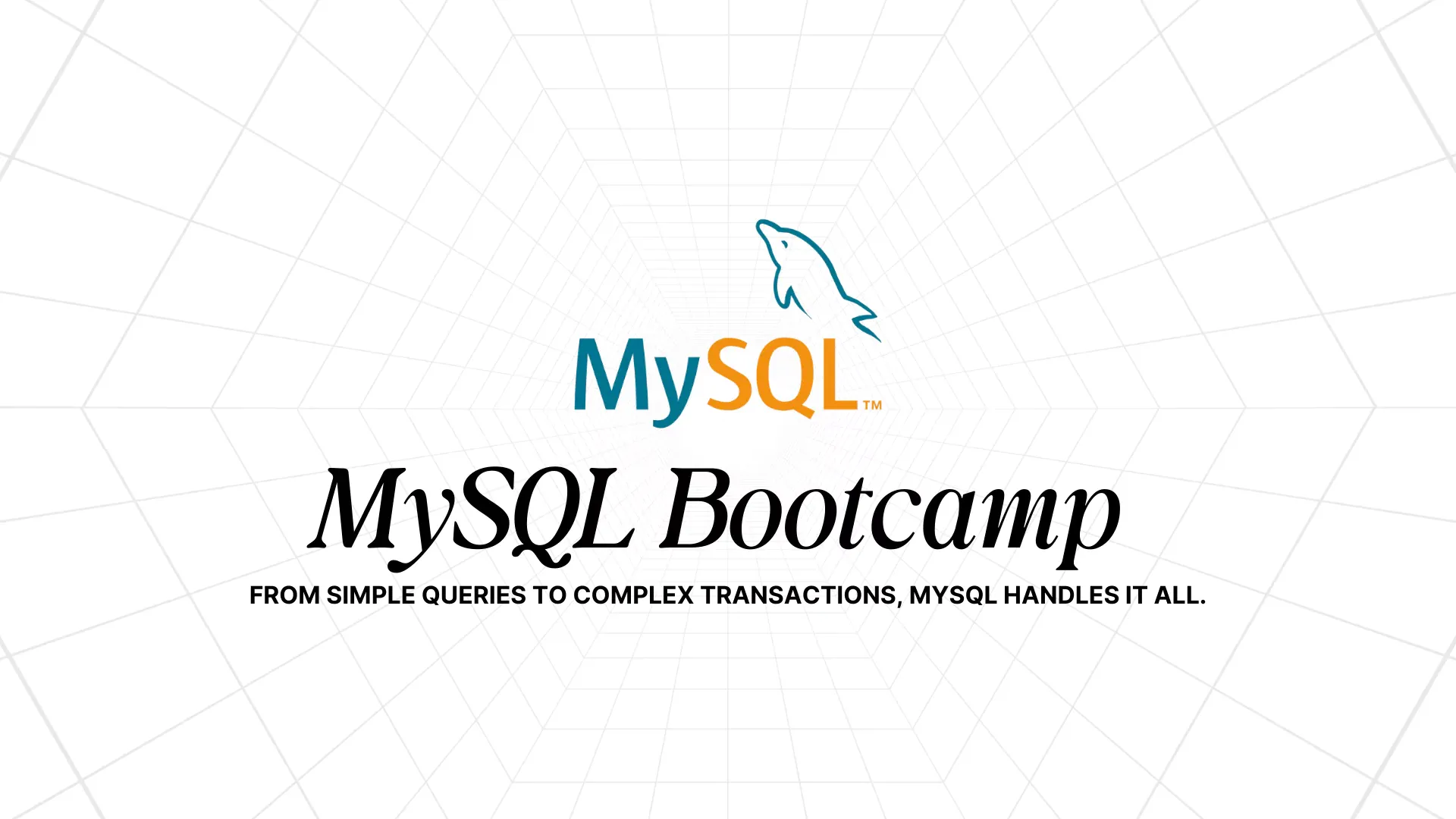 MySQL Bootcamp